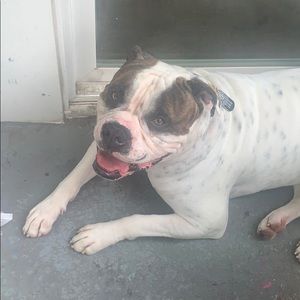 Meet your Posher, Melva